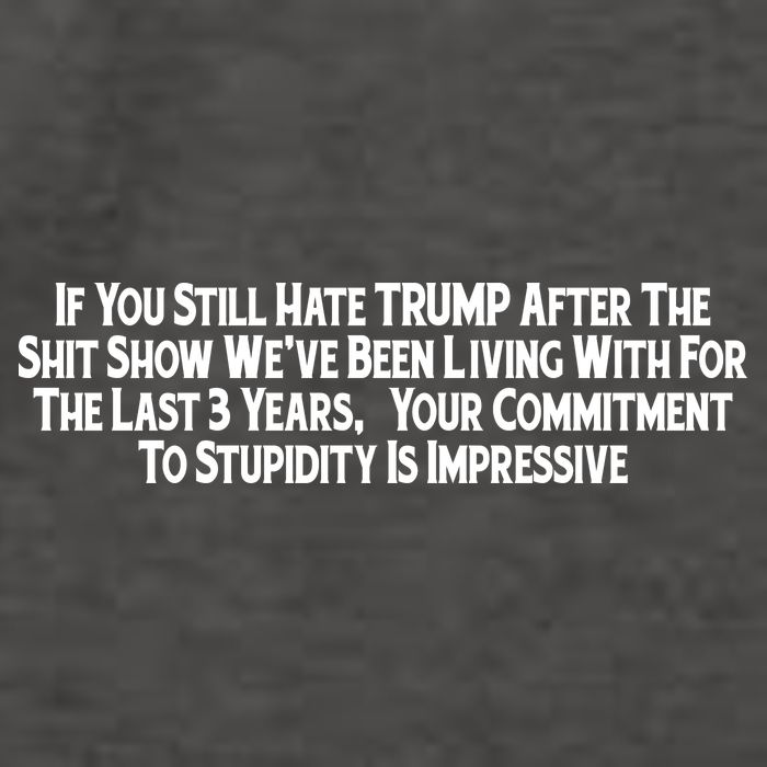 Commitment To Stupidity Trump 2024 Maga Vector Backpack