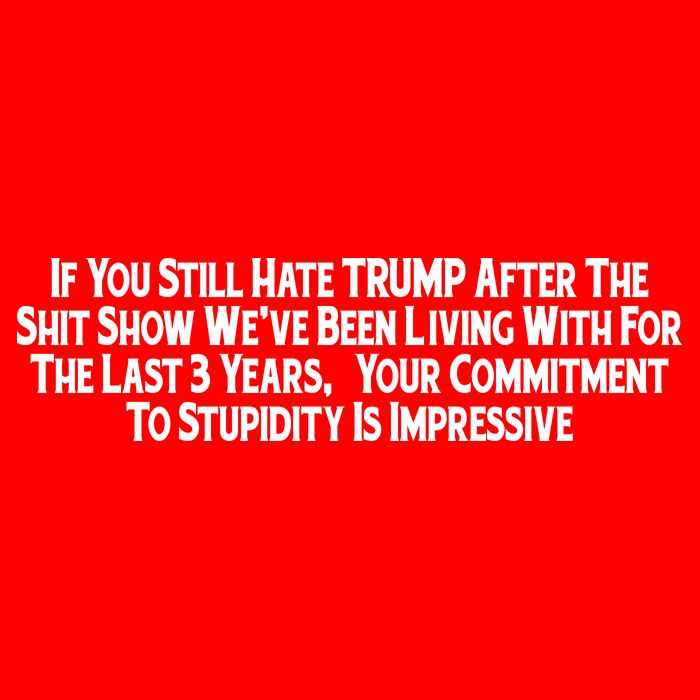 Commitment To Stupidity Trump 2024 Maga Polo