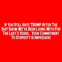 Commitment To Stupidity Trump 2024 Maga 16 in Basic Backpack