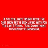 Commitment To Stupidity Trump 2024 Maga Magnet
