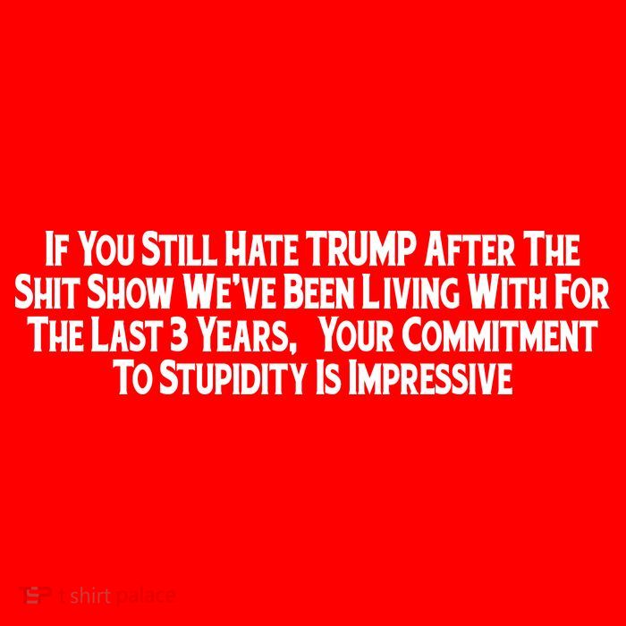 Commitment To Stupidity Trump 2024 Maga Magnet