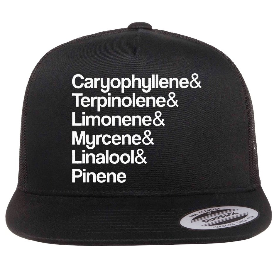 Cannabis Terpenes Terps List Marijuana Smoker Toker 420 Weed Flat Bill Trucker Hat