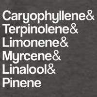 Cannabis Terpenes Terps List Marijuana Smoker Toker 420 Weed Vector Backpack