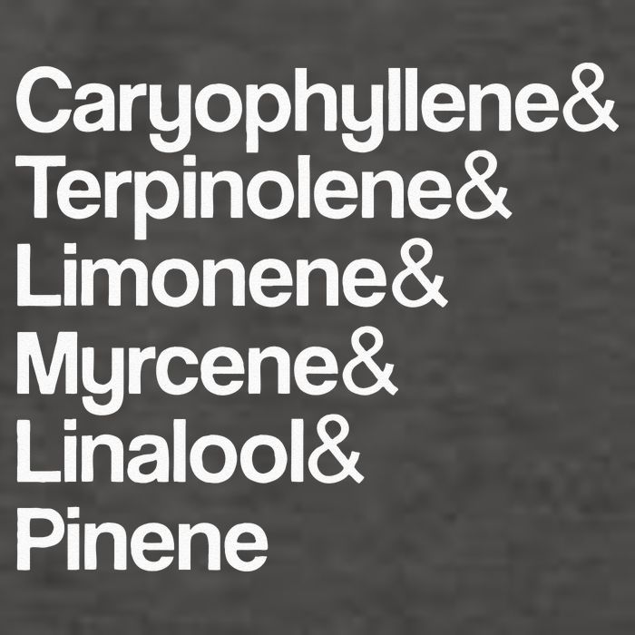 Cannabis Terpenes Terps List Marijuana Smoker Toker 420 Weed Vector Backpack