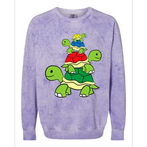 Cute Turtle Tortoises Ocean Love Sea Turtles Colorblast Crewneck Sweatshirt