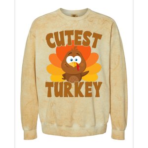 Cutest Turkey Thanksgiving Festive Colorblast Crewneck Sweatshirt