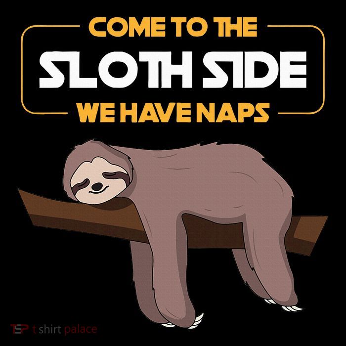 Come To The Sloth Side Funny Sloth Pun Flatbill Hat