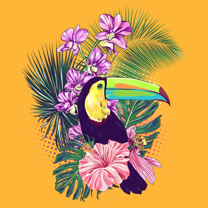 Cute Tropical Toucan Bird Baby Bodysuit