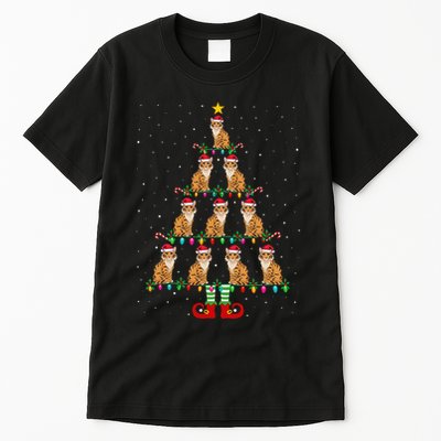 Christmas Tree Teeth Dentist Oh Dentistree Dental Hygienist Tall T-Shirt