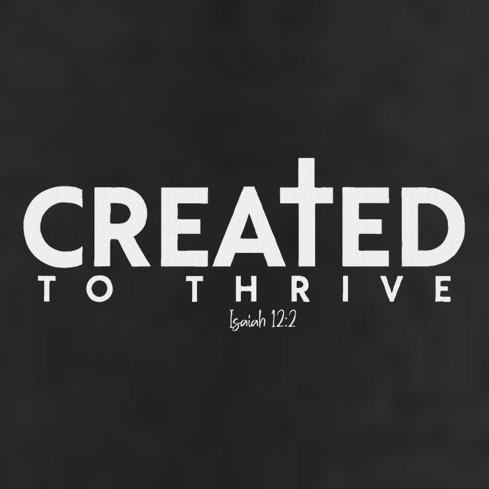 Created To Thrive Christian Faith Isaiah 122 11oz C Handle Ceramic Mug