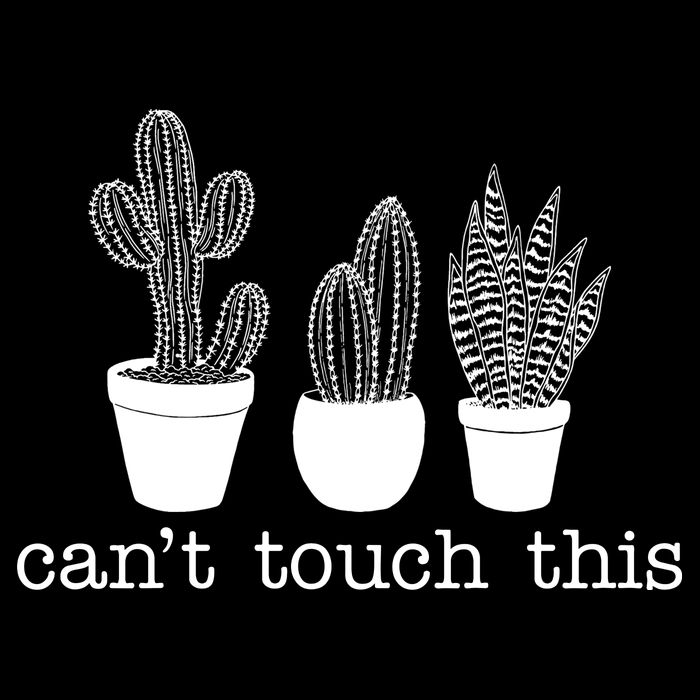 Can't Touch This Funny Cactus 16 in Basic Backpack