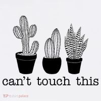 Can't Touch This Funny Cactus Poster