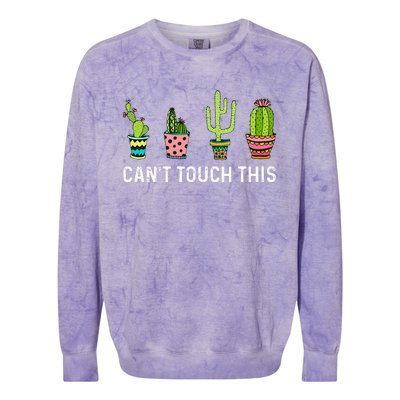 CanT Touch This Cacti Succulents Cactus Love Plants Gifts Colorblast Crewneck Sweatshirt