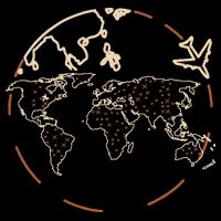 Countries Traveler Traveling World Map Women's V-Neck T-Shirt