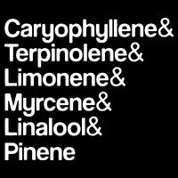 Cannabis Terpenes Terps List Marijuana Smoker Toker 420 Weed City Backpack