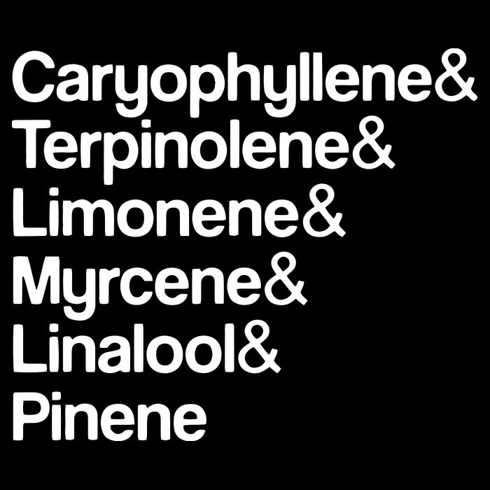 Cannabis Terpenes Terps List Marijuana Smoker Toker 420 Weed City Backpack