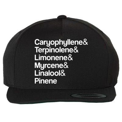 Cannabis Terpenes Terps List Marijuana Smoker Toker 420 Weed Wool Snapback Cap