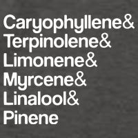 Cannabis Terpenes Terps List Marijuana Smoker Toker 420 Weed Vector Backpack
