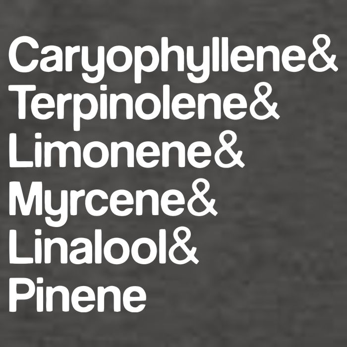 Cannabis Terpenes Terps List Marijuana Smoker Toker 420 Weed Vector Backpack
