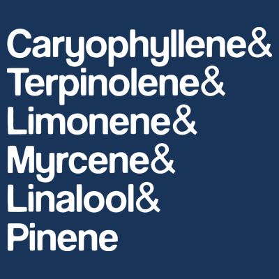 Cannabis Terpenes Terps List Marijuana Smoker Toker 420 Weed T-Shirt