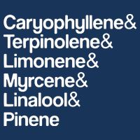 Cannabis Terpenes Terps List Marijuana Smoker Toker 420 Weed 16 in Basic Backpack