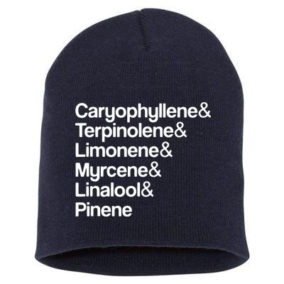 Cannabis Terpenes Terps List Marijuana Smoker Toker 420 Weed Short Acrylic Beanie
