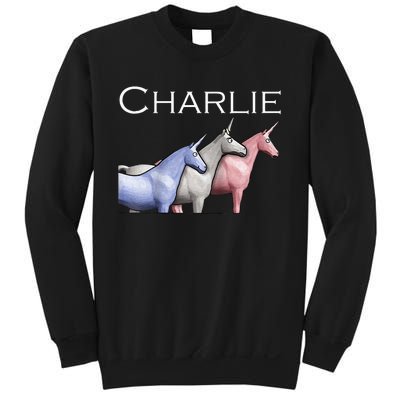 Charlie The Unicorns Shun Raglan Baseball Sweatshirt