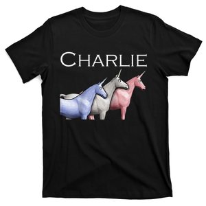 Charlie The Unicorns Shun Raglan Baseball T-Shirt