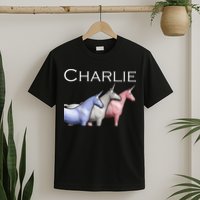 Charlie The Unicorns Shun Raglan Baseball T-Shirt