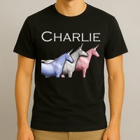 Charlie The Unicorns Shun Raglan Baseball T-Shirt