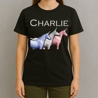 Charlie The Unicorns Shun Raglan Baseball T-Shirt