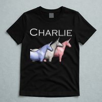 Charlie The Unicorns Shun Raglan Baseball T-Shirt