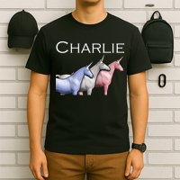 Charlie The Unicorns Shun Raglan Baseball T-Shirt