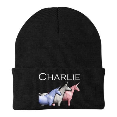 Charlie The Unicorns Shun Raglan Baseball Beanie