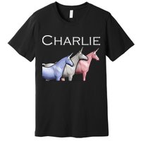 Charlie The Unicorns Shun Raglan Baseball Premium T-Shirt
