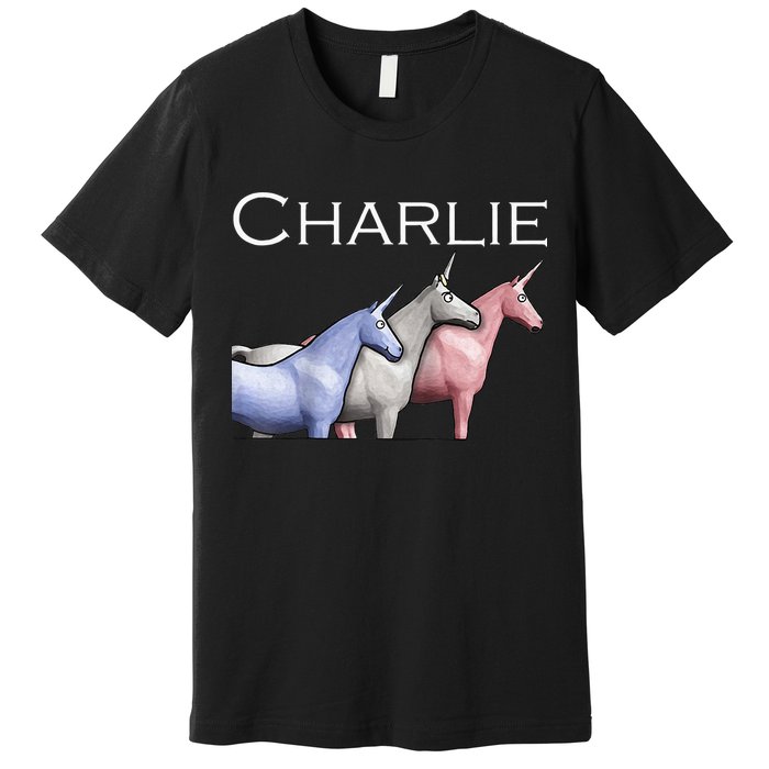 Charlie The Unicorns Shun Raglan Baseball Premium T-Shirt