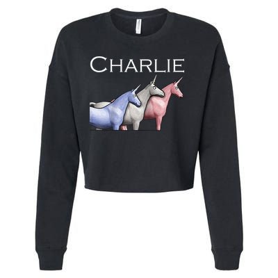 Charlie The Unicorns Shun Raglan Baseball Cropped Pullover Crew