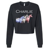 Charlie The Unicorns Shun Raglan Baseball Cropped Pullover Crew
