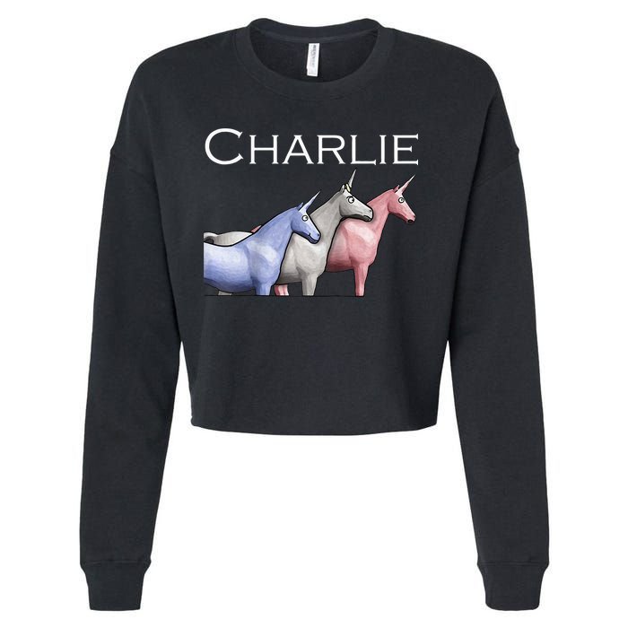Charlie The Unicorns Shun Raglan Baseball Cropped Pullover Crew