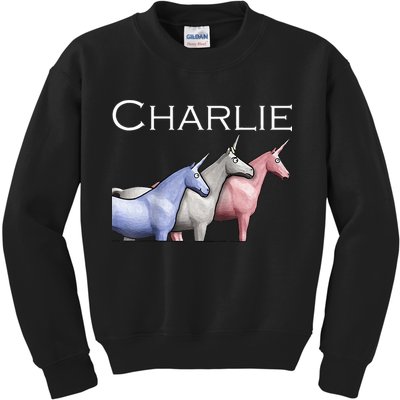 Charlie The Unicorns Shun Raglan Baseball Kids Sweatshirt