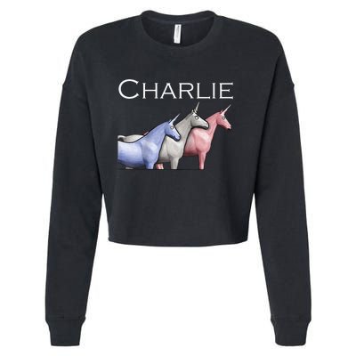 Charlie The Unicorns Shun Raglan Baseball Cropped Pullover Crew