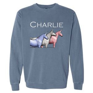 Charlie The Unicorns Shun Raglan Baseball Garment-Dyed Sweatshirt