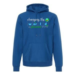 Changing The World One Phoneme At A Time Teacher Premium Hoodie