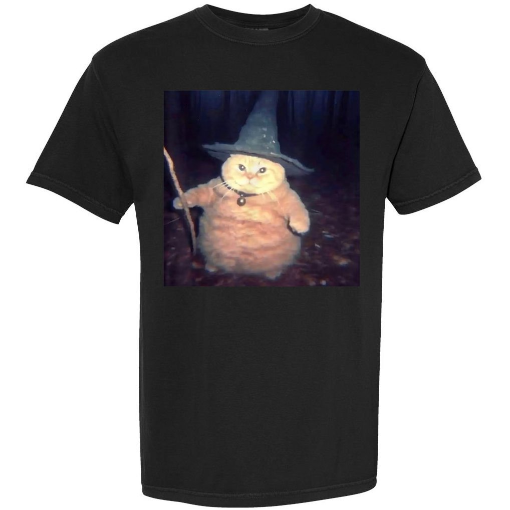 Cheeseball The Wizard Cat Meme Comfort Colors T-Shirt