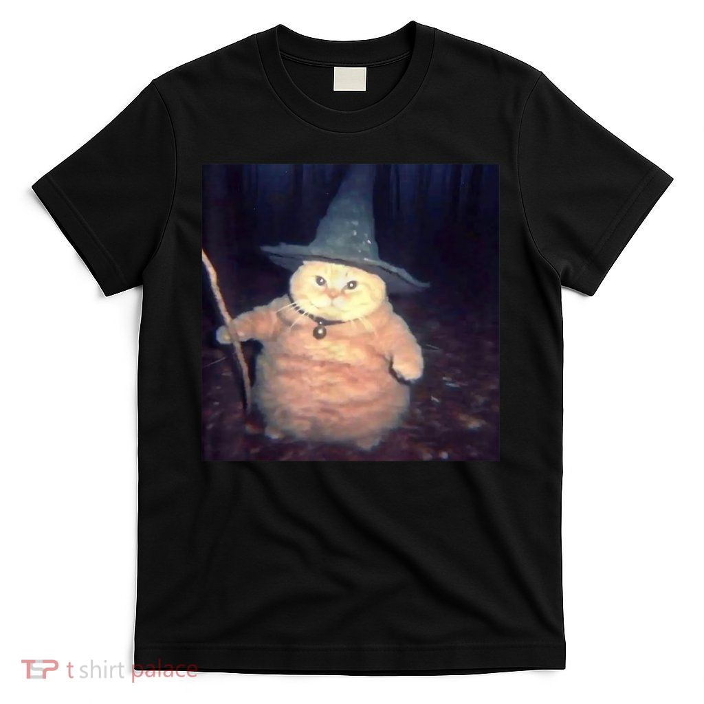 Cheeseball The Wizard Cat Meme T-Shirt