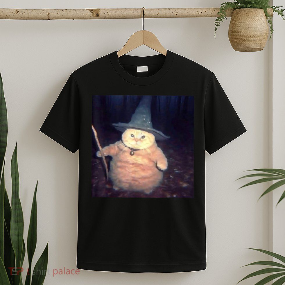 Cheeseball The Wizard Cat Meme T-Shirt