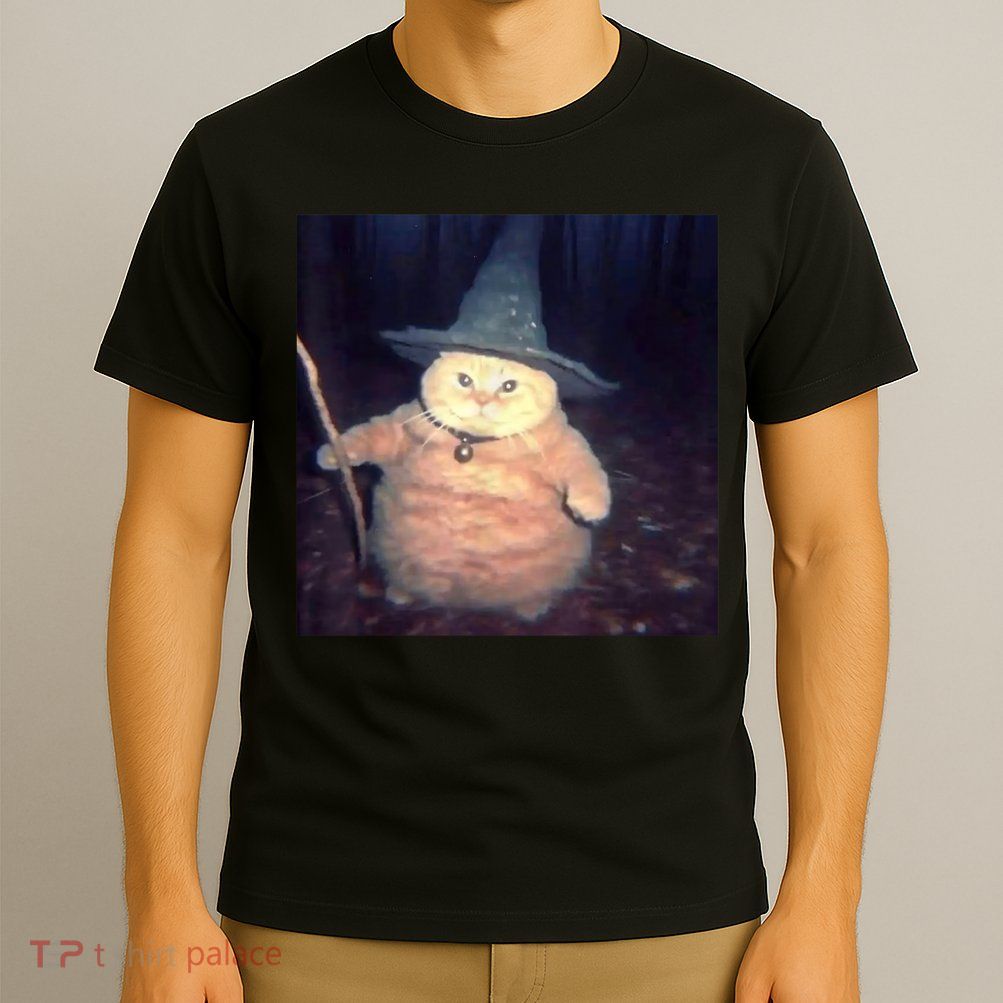 Cheeseball The Wizard Cat Meme T-Shirt