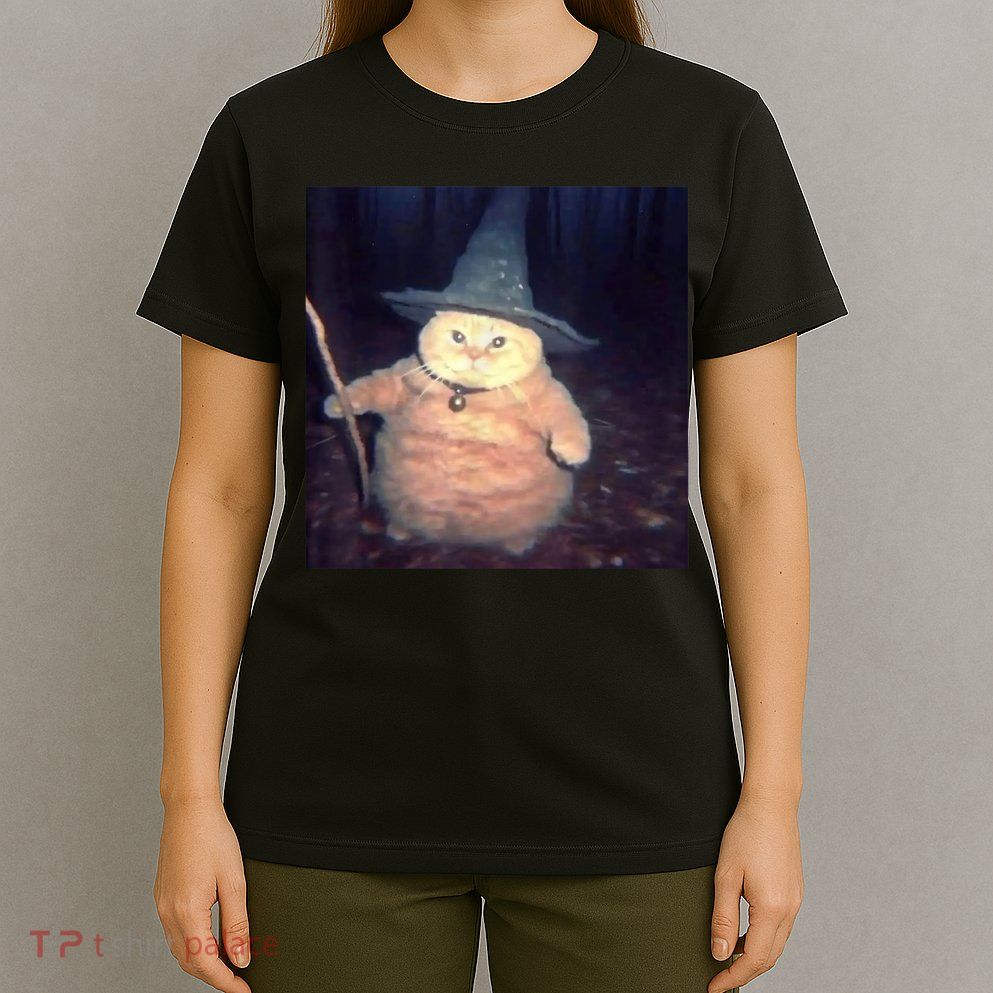 Cheeseball The Wizard Cat Meme T-Shirt