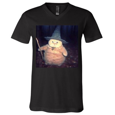 Cheeseball The Wizard Cat Meme V-Neck T-Shirt