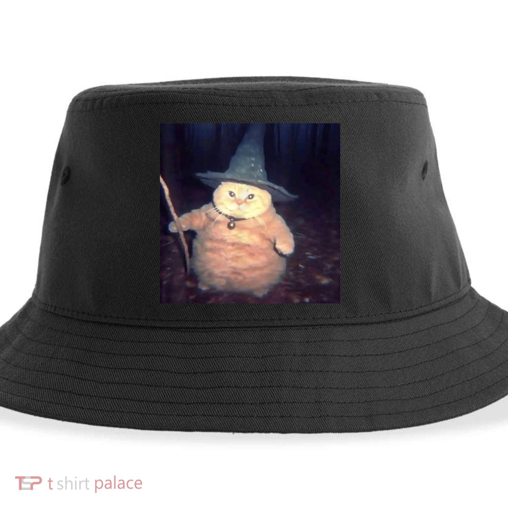 Cheeseball The Wizard Cat Meme Sustainable Bucket Hat